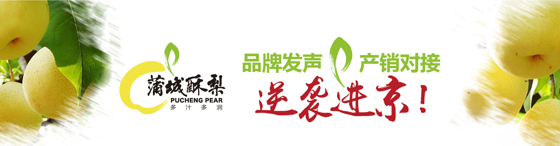 戰(zhàn)略賦能區(qū)域公用品牌，點亮區(qū)域經(jīng)濟