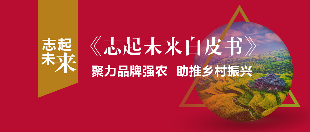 志起未來客戶:為何同福集團能成為鄉(xiāng)村振興的典范？