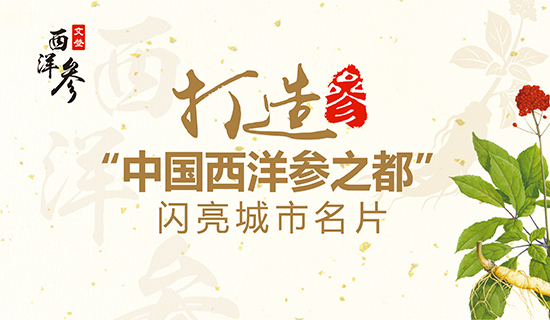 文登西洋參產(chǎn)業(yè)：打造“中國西洋參之都”閃亮城市名片！
